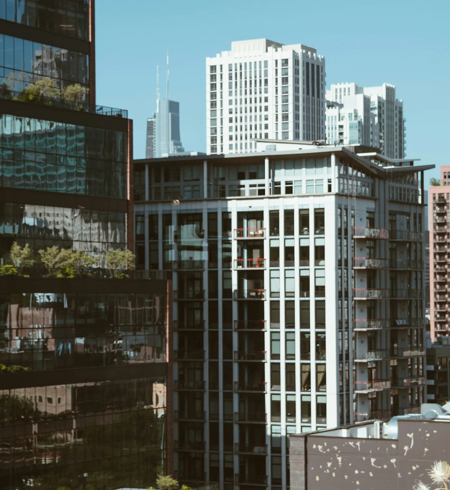 City skyline seen from a rooftop